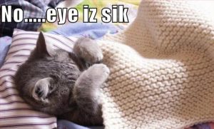 sickie sickie